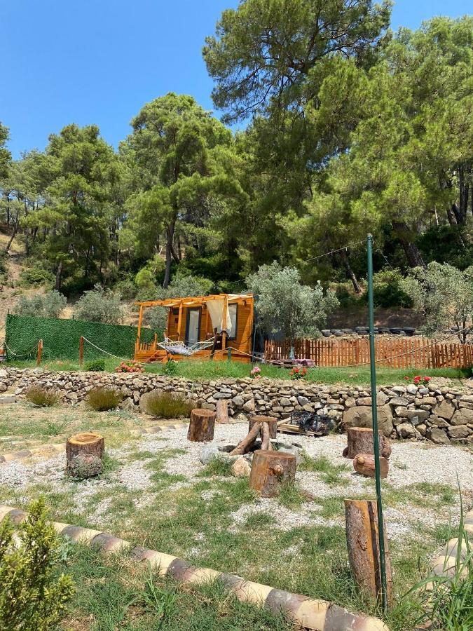Tiny Mini House Hotel Dalaman Ngoại thất bức ảnh